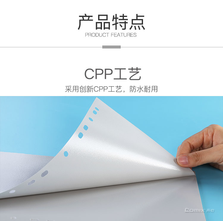 齐心 IX894 易分类 年度索引纸 A4 12页1-12 11孔 PP