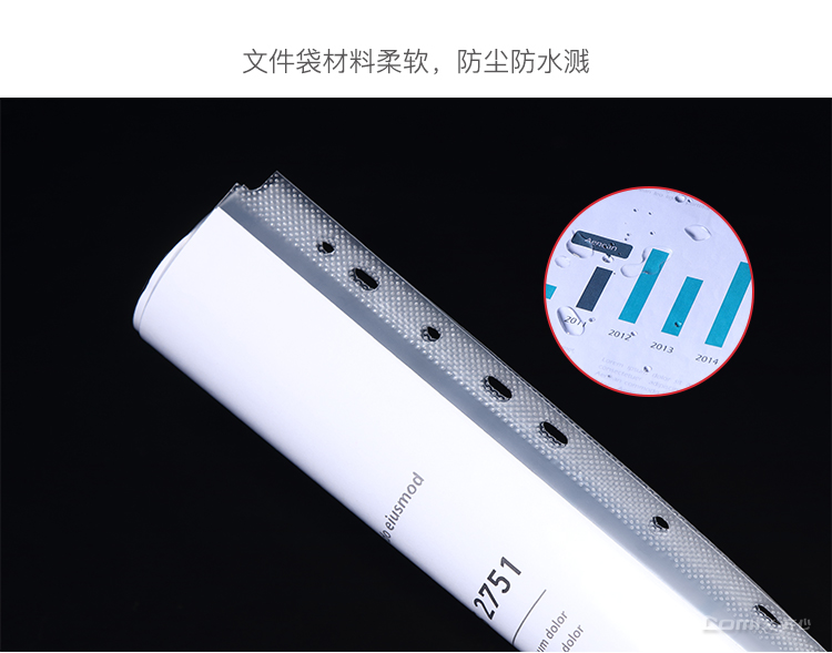 齐心 EH035 活页替芯3.5C光面 A4 100PCS装