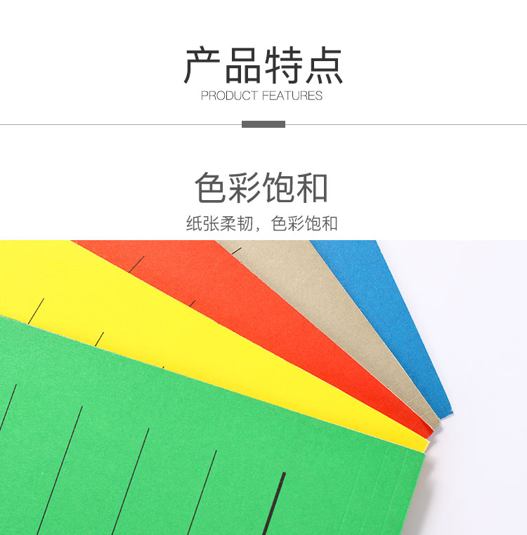 齐心 A1812 易查找吊挂夹 A4 纸质