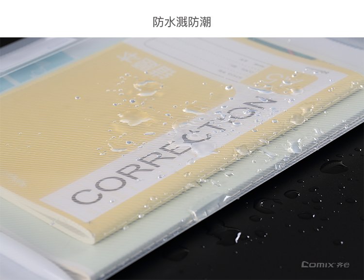 齐心 C339 双按扣文件袋 A4
