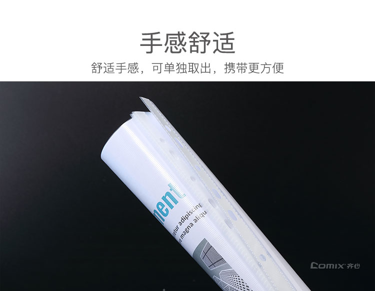 齐心 EH303A-1 A4文件保护袋 11孔0.04mm 100个/套