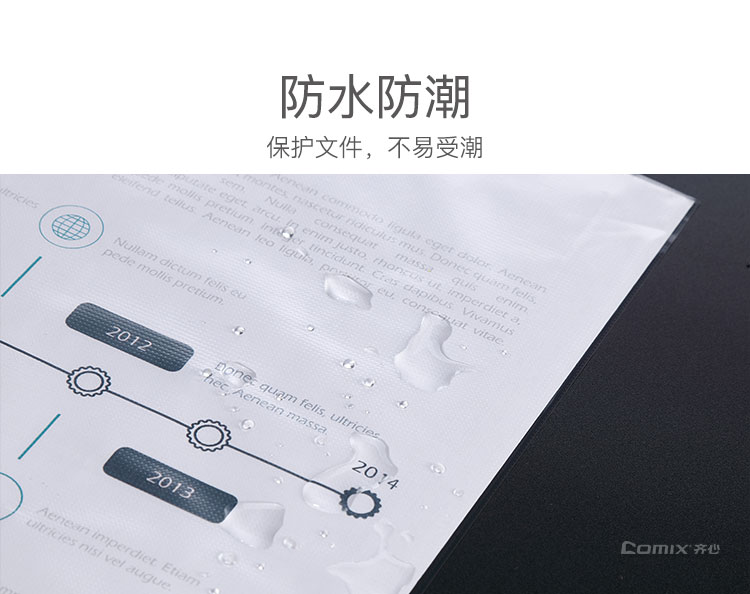 齐心 EH303A-1 A4文件保护袋 11孔0.04mm 100个/套