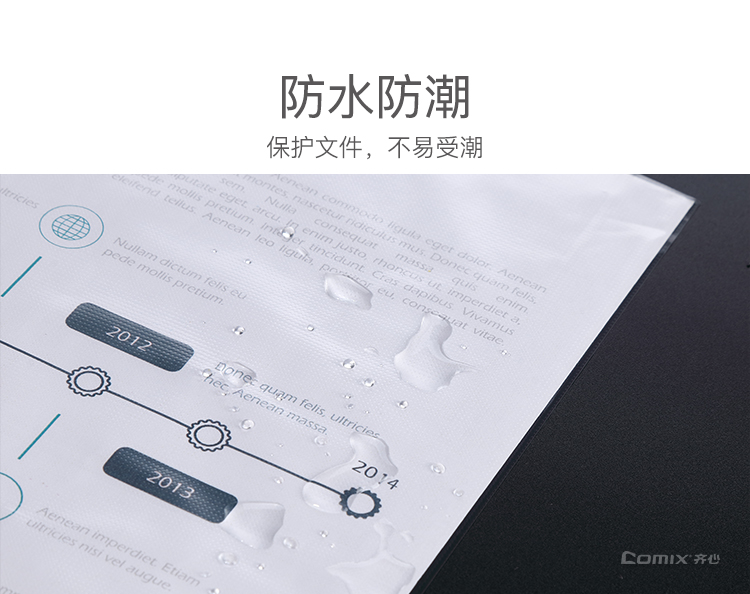 齐心 A1968 防眩目文件保护袋 A4 30孔 20个/套
