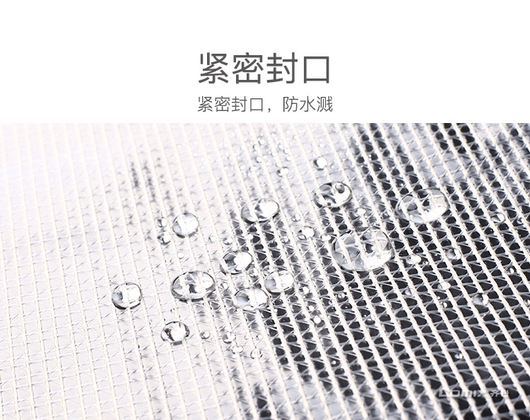 齐心 A1054 经济型网格拉链袋 10PCS/套 A4